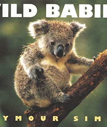 Wild Babies
