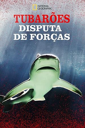 Raging Bull Shark