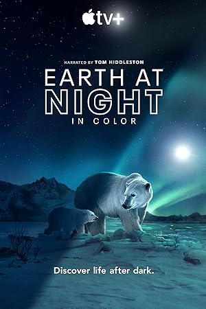 Earth at Night in Color